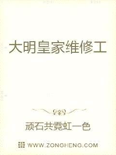 大明皇家维修工封面